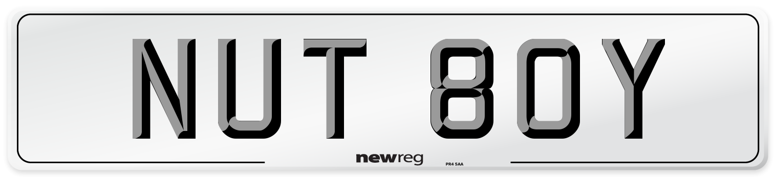 NUT 80Y Number Plate from New Reg